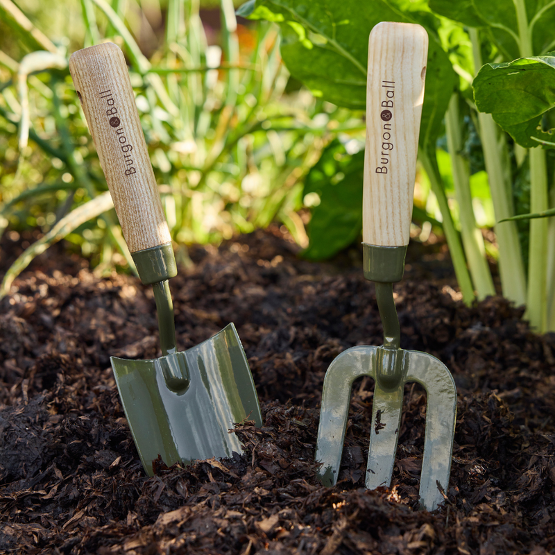 Burgon and Ball RHS BoronGreen Hand Fork | Fork | 5019360204381 5019360204381 | AllotMate Essentials