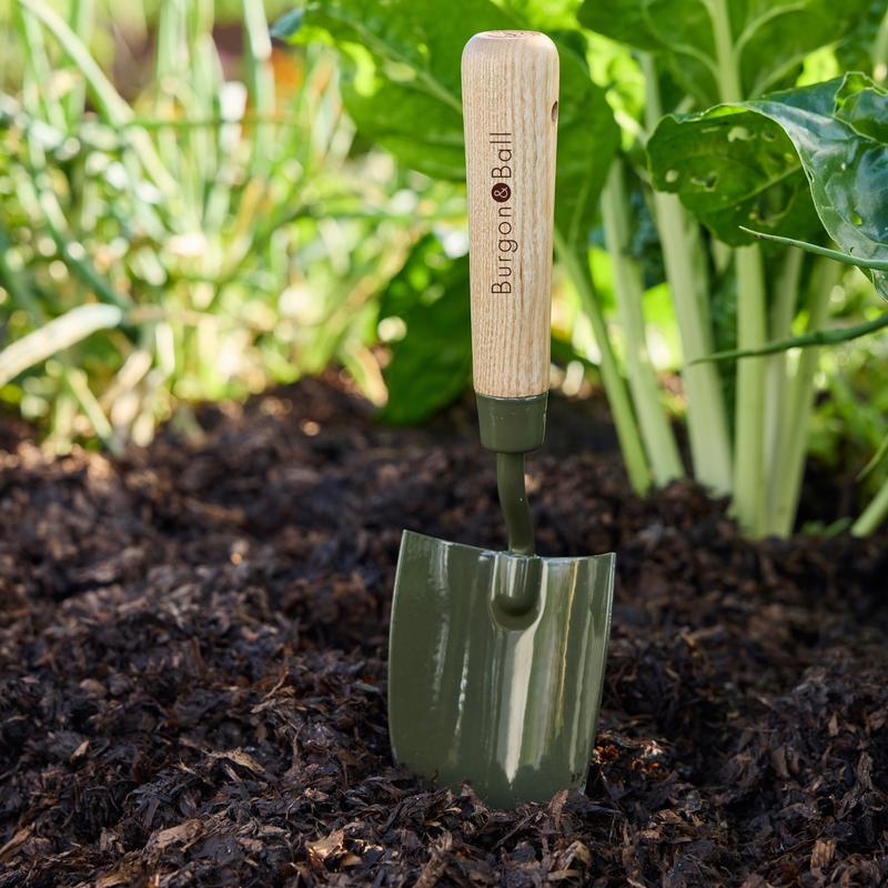 Burgon and Ball RHS BoronGreen Hand Trowel | Trowel | 5019360204367 5019360204367 | AllotMate Essentials