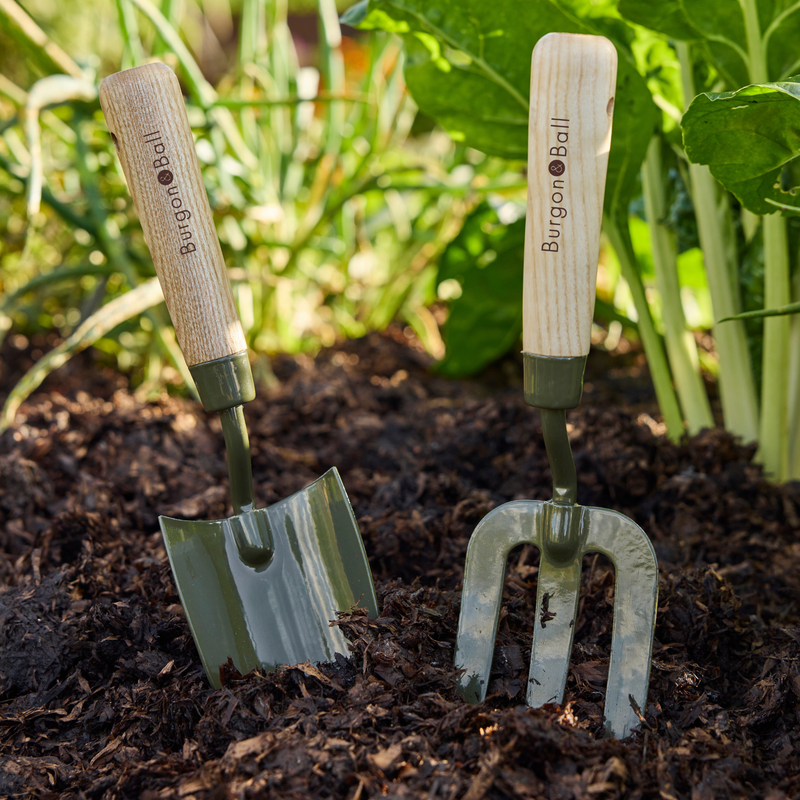 Burgon and Ball RHS BoronGreen Hand Trowel | Trowel | 5019360204367 5019360204367 | AllotMate Essentials