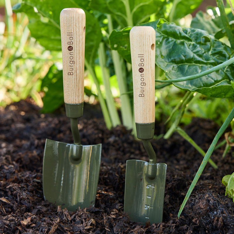 Burgon and Ball RHS BoronGreen Hand Trowel | Trowel | 5019360204367 5019360204367 | AllotMate Essentials
