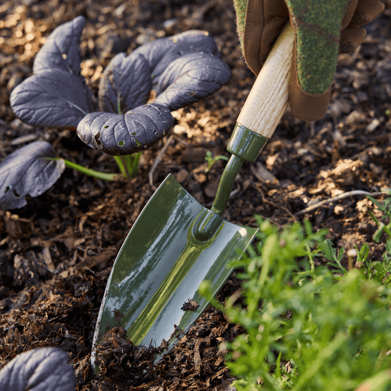 Burgon and Ball RHS BoronGreen Hand Trowel | Trowel | 5019360204367 5019360204367 | AllotMate Essentials