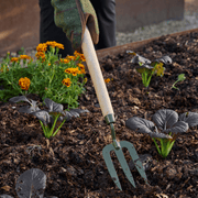 Burgon and Ball RHS BoronGreen Mid Handled Fork | Mid Handled Fork | 5019360204350 5019360204350 | AllotMate Essentials