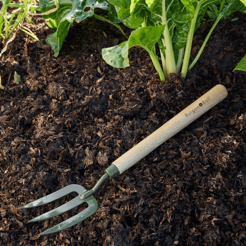 Burgon and Ball RHS BoronGreen Mid Handled Fork | Mid Handled Fork | 5019360204350 5019360204350 | AllotMate Essentials