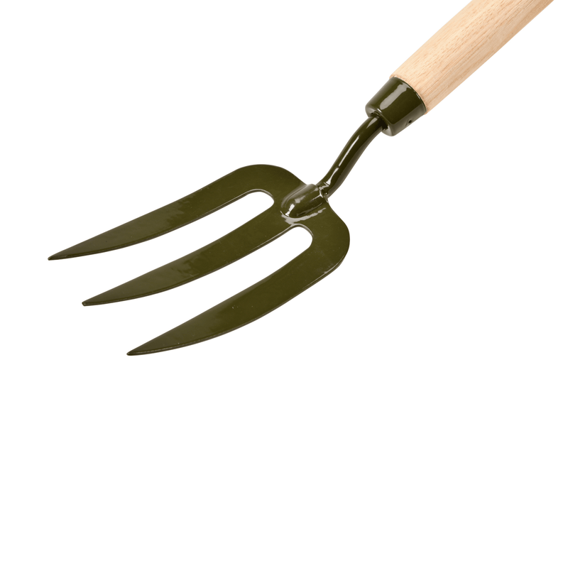 Burgon and Ball RHS BoronGreen Mid Handled Fork | Mid Handled Fork | 5019360204350 5019360204350 | AllotMate Essentials