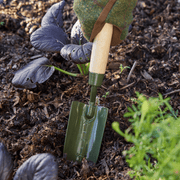 Burgon and Ball RHS BoronGreen Transplanter | Transplanter | 5019360204374 5019360204374 | AllotMate Essentials