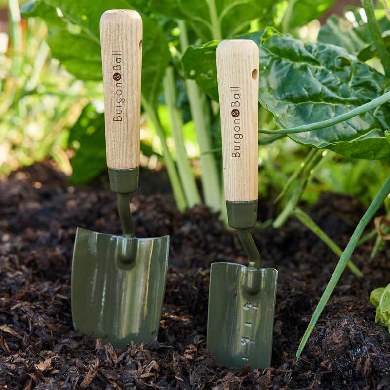 Burgon and Ball RHS BoronGreen Transplanter | Transplanter | 5019360204374 5019360204374 | AllotMate Essentials