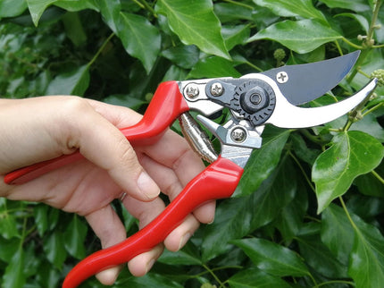 Left - Handed Bypass Secateurs – Ergonomic Cutting Tool | RHS by Burgon & Ball | Left - handed Bypass Secateur | GTO/SCLH 5019360015888 | AllotMate Essentials