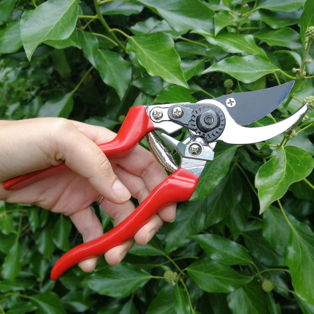 Burgon and Ball RHS Left - handed Bypass Secateur - Left - handed Bypass Secateur - AllotMate Essentials - GTO/SCLH - 5019360015888