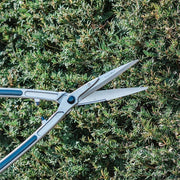 Precision Shears – Fine Cutting Tool for Garden Maintenance | RHS Approved | Burgon & Ball | Shear | GTO/HEDGE 5019360009931 | AllotMate Essentials