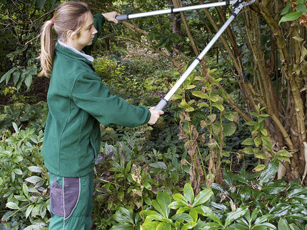 Telescopic Anvil Lopper – Heavy - Duty Loppers for Dead Branches | RHS Approved | Burgon & Ball | Anvil Lopper | GTO/LOPANVIL 5019360011590 | AllotMate Essentials