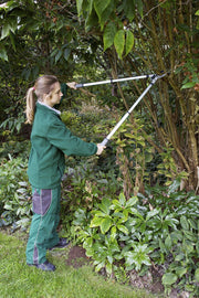 Telescopic Anvil Lopper – Heavy - Duty Loppers for Dead Branches | RHS Approved | Burgon & Ball | Anvil Lopper | GTO/LOPANVIL 5019360011590 | AllotMate Essentials