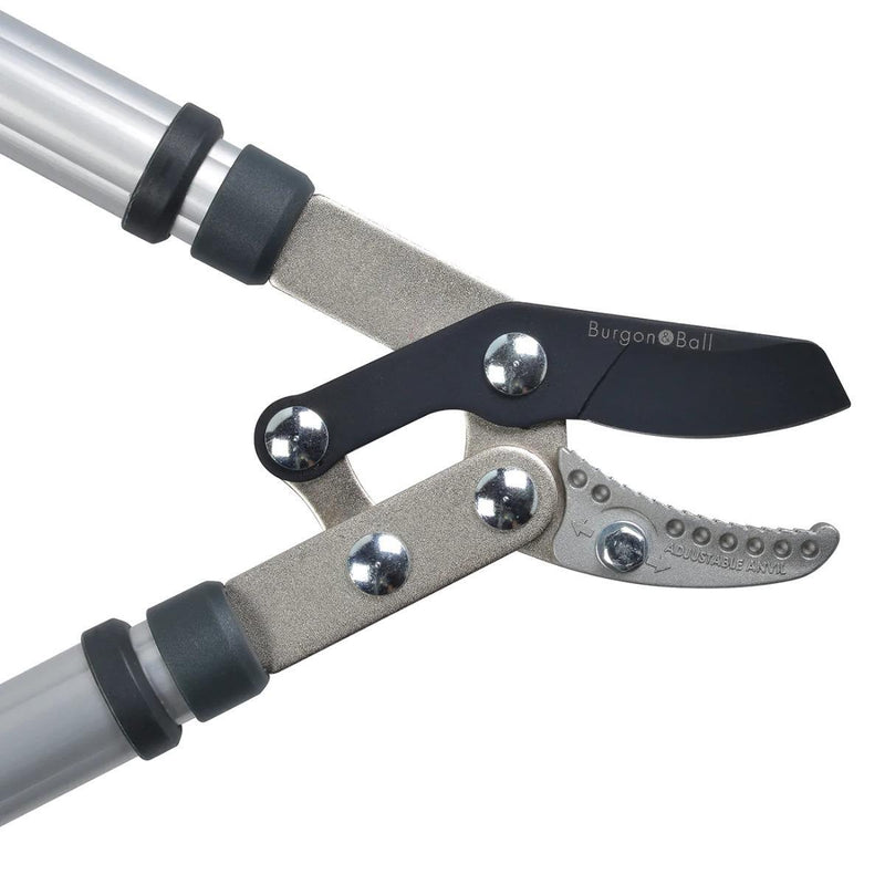 Telescopic Anvil Lopper – Heavy - Duty Loppers for Dead Branches | RHS Approved | Burgon & Ball | Anvil Lopper | GTO/LOPANVIL 5019360011590 | AllotMate Essentials