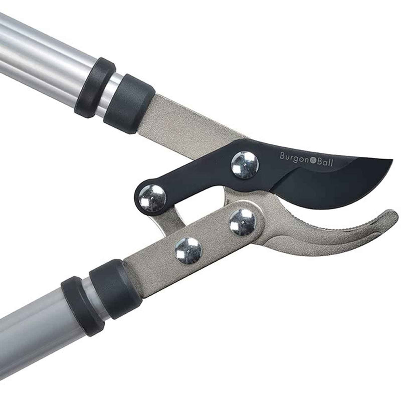 Telescopic Bypass Lopper – Extendable Garden Loppers for Live Wood | RHS Approved | Burgon & Ball | Bypass Lopper | GTO/LOPBYPASS 5019360011583 | AllotMate Essentials
