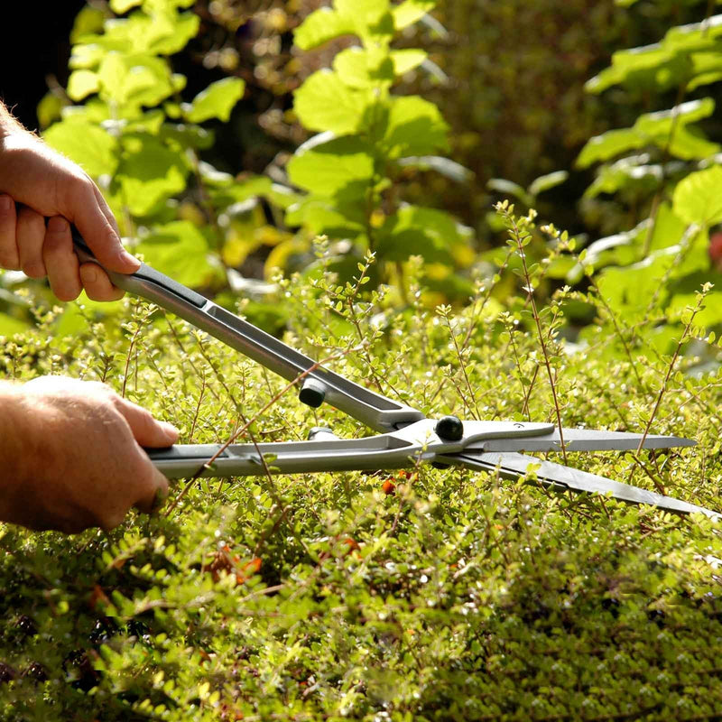 Topiary Hedge Shears – Precision Cutting for Shaping Hedges | RHS Approved | Burgon & Ball | Topiary Shear | GTO/THS 5019360004592 | AllotMate Essentials