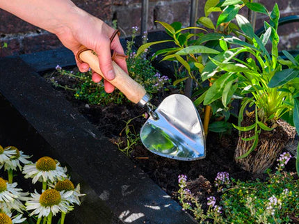 Burgon and Ball Stainless Steel Planting Trowel - RHS Endorsed - Planting Trowel - AllotMate Essentials - GTH/SPTRHS - 5019360203308