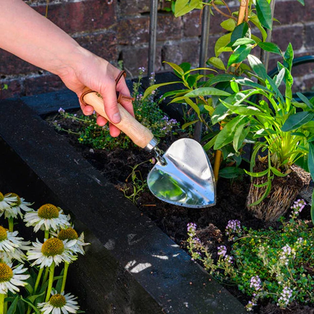Burgon and Ball Stainless Steel Planting Trowel - RHS Endorsed - Planting Trowel - AllotMate Essentials - GTH/SPTRHS - 5019360203308