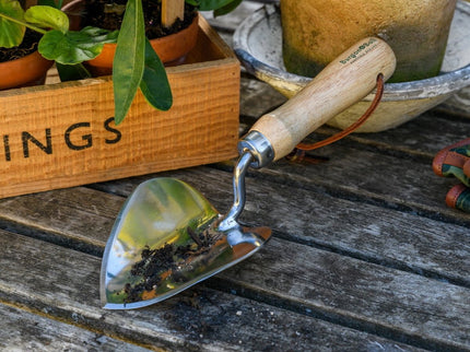 Burgon and Ball Stainless Steel Planting Trowel - RHS Endorsed - Planting Trowel - AllotMate Essentials - GTH/SPTRHS - 5019360203308