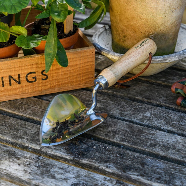 Burgon and Ball Stainless Steel Planting Trowel - RHS Endorsed - Planting Trowel - AllotMate Essentials - GTH/SPTRHS - 5019360203308