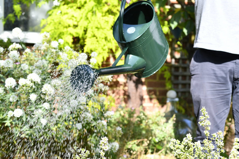 Waterfall Watering Can 9 Litre, British Racing Green | Burgon & Ball