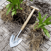 Burgon & Ball Perennial Spade RHS Endorsed – Mid-Handled Stainless Steel Dividing Spade | Mid Handled Spade | 5019360008729 5019360008729 | AllotMate Essentials