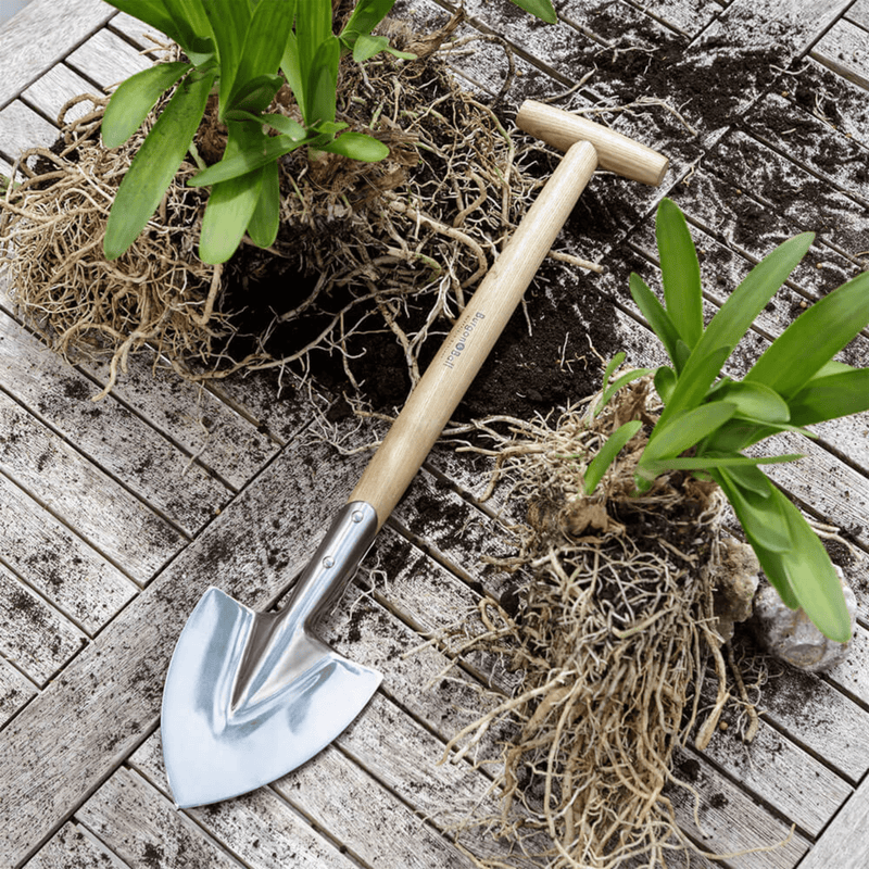 Burgon & Ball Perennial Spade RHS Endorsed – Mid-Handled Stainless Steel Dividing Spade | Mid Handled Spade | 5019360008729 5019360008729 | AllotMate Essentials
