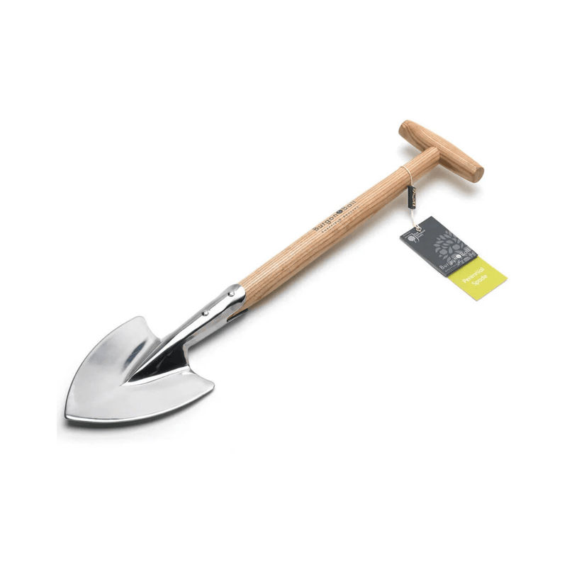 Burgon & Ball Perennial Spade RHS Endorsed – Mid-Handled Stainless Steel Dividing Spade | Mid Handled Spade | 5019360008729 5019360008729 | AllotMate Essentials