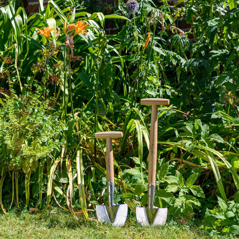 Burgon & Ball Perennial Spade RHS Endorsed – Mid-Handled Stainless Steel Dividing Spade | Mid Handled Spade | 5019360008729 5019360008729 | AllotMate Essentials