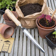 Burgon & Ball Widger RHS Endorsed – Stainless Steel Potting Shed Tool for Seedlings and Transplanting | Widger | 5019360008439 5019360008439 | AllotMate Essentials