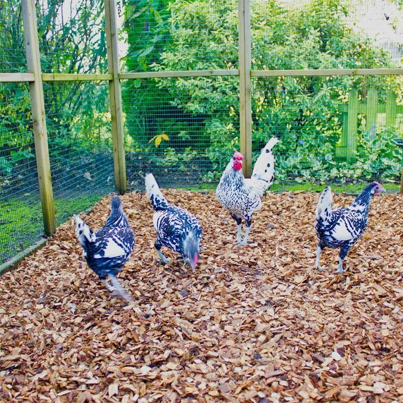 Chicken Coop Chips | Bark & Mulch | DHPC2050 Custom Product | AllotMate Essentials