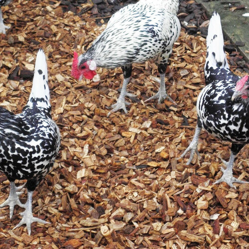 Chicken Coop Chips | Bark & Mulch | DHPCHBB Custom Product | AllotMate Essentials