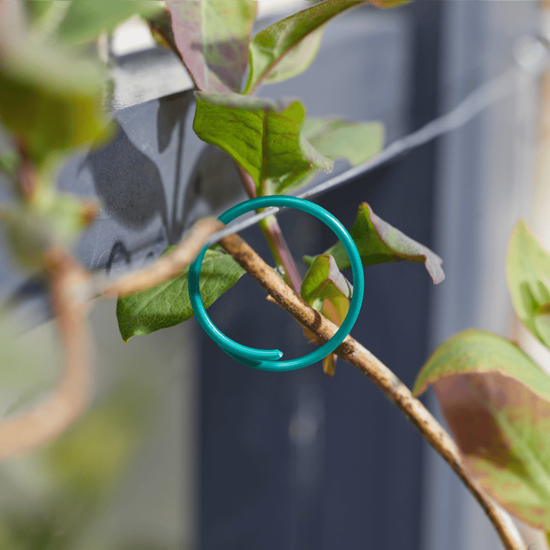 Coated Plant Rings 25cm 50 Pack, Durable Plant Supports for Stems and Trees | Plant supports and fixings | 5050642070911 5050642070911 | AllotMate Essentials