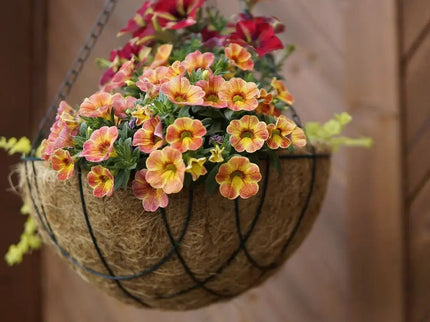 Round Coco Liners – 100% Biodegradable Coir for Hanging Baskets | CoirProducts | Hanging Basket Liner | 30cm | AllotMate Essentials
