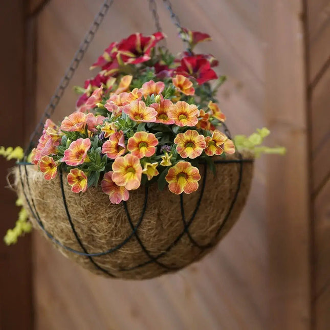 Round Coco Liners – 100% Biodegradable Coir for Hanging Baskets | CoirProducts | Hanging Basket Liner | 30cm | AllotMate Essentials