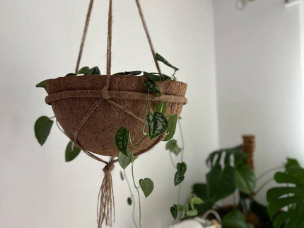 Round Coco Liners – 100% Biodegradable Coir for Hanging Baskets | CoirProducts | Hanging Basket Liner | 40cm 5060861941909 | AllotMate Essentials
