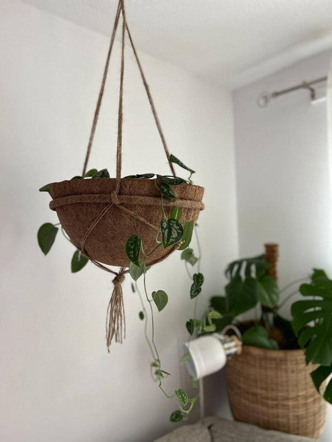 Round Coco Liners – 100% Biodegradable Coir for Hanging Baskets | CoirProducts | Hanging Basket Liner | 40cm 5060861941909 | AllotMate Essentials