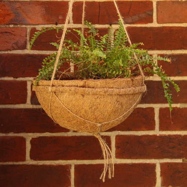 Round Coco Liners – 100% Biodegradable Coir for Hanging Baskets | CoirProducts | Hanging Basket Liner | 40cm 5060861941909 | AllotMate Essentials