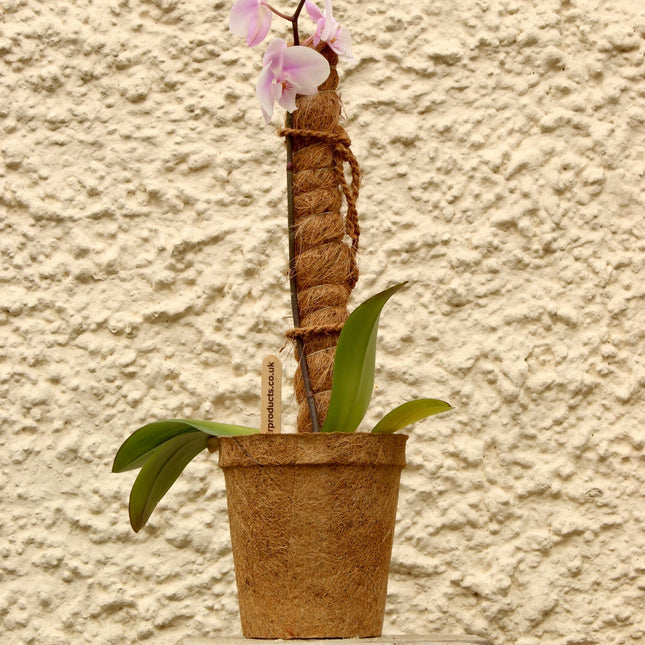 Growpole Support Pole – Natural Coir Stake for Houseplants | CoirProducts | Grow Poles | CPGP60 | AllotMate Essentials