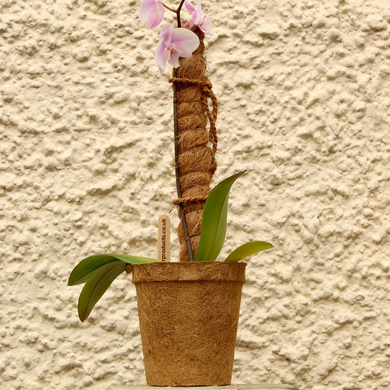 Growpole Support Pole – Natural Coir Stake for Houseplants | CoirProducts | Grow Poles | CPGP60 | AllotMate Essentials