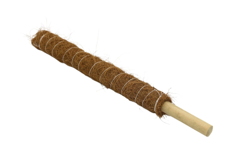 Growpole Support Pole – Natural Coir Stake for Houseplants | CoirProducts | Grow Poles | CPGP60 | AllotMate Essentials