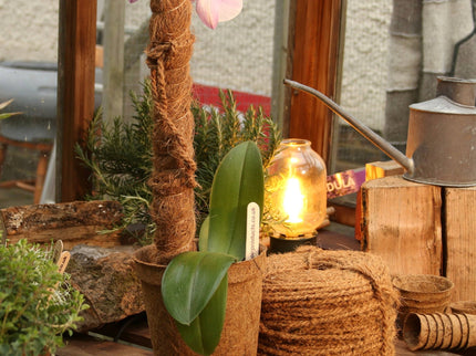 Growpole Support Pole – Natural Coir Stake for Houseplants | CoirProducts | Grow Poles | CPGP60 | AllotMate Essentials