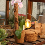 Growpole Support Pole – Natural Coir Stake for Houseplants | CoirProducts | Grow Poles | CPGP60 | AllotMate Essentials