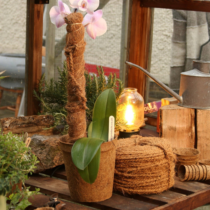 Growpole Support Pole – Natural Coir Stake for Houseplants | CoirProducts | Grow Poles | CPGP60 | AllotMate Essentials