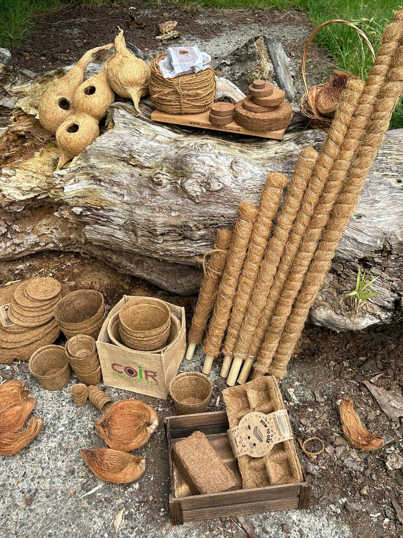 Growpole Support Pole – Natural Coir Stake for Houseplants | CoirProducts | Grow Poles | CPGP60 | AllotMate Essentials