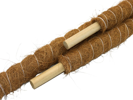 Growpole Support Pole – Natural Coir Stake for Houseplants | CoirProducts | Grow Poles | CPGP60 | AllotMate Essentials