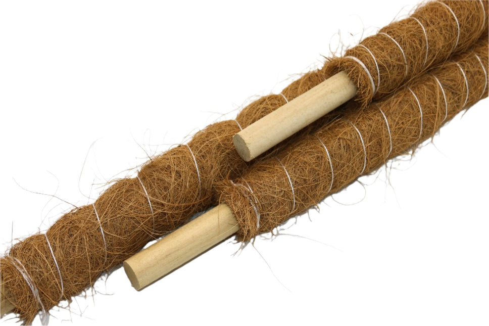 Growpole Support Pole – Natural Coir Stake for Houseplants | CoirProducts | Grow Poles | CPGP60 | AllotMate Essentials