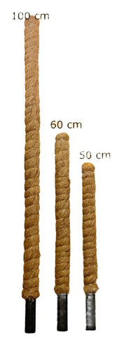 Growpole Support Pole – Natural Coir Stake for Houseplants | CoirProducts | Grow Poles | CPGP60 | AllotMate Essentials