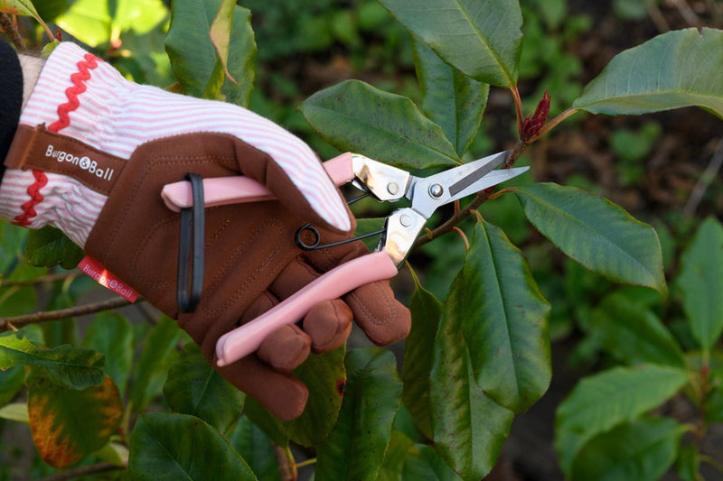 Collector Gloves Blush Stripe: women's country cottage gardening gloves with a padded palm and ric rac trim | Gift Gloves | 5019360204794 5019360204794 | AllotMate Essentials