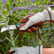 Collector Gloves Olive Stripe: women's country cottage gardening gloves with a padded palm and ric rac trim | Gift Gloves | 5019360204800 5019360204800 | AllotMate Essentials