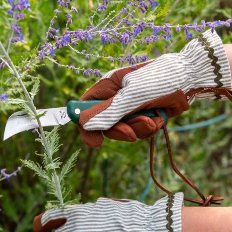 Collector Gloves Olive Stripe: women's country cottage gardening gloves with a padded palm and ric rac trim | Gift Gloves | 5019360204800 5019360204800 | AllotMate Essentials