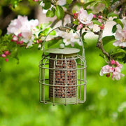 Compact Squirrel Proof Peanut Feeder, Guardian Cage Bird Feeder, 15cm High | Wildlife and Bird Care | 7512009-G 5050642027670 | AllotMate Essentials